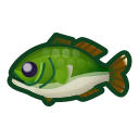 black bass