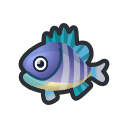 bluegill