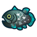 coelacanth