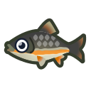 dace