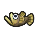 freshwater goby