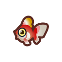 goldfish