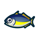 horse mackerel