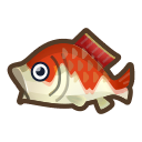 koi