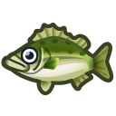 sea bass