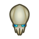 squid