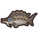 sturgeon